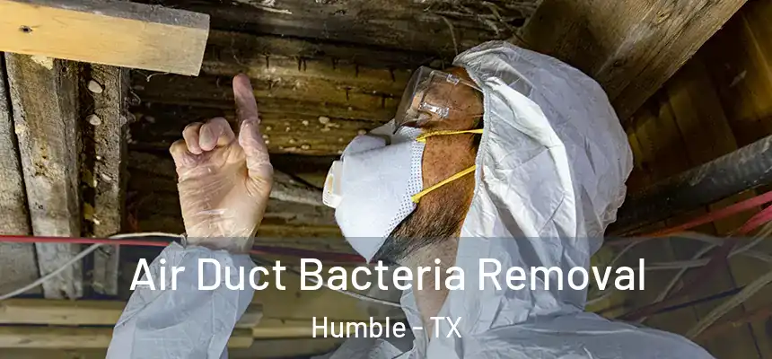  Air Duct Bacteria Removal Humble - TX