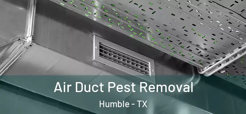 Air Duct Pest Removal Humble - TX