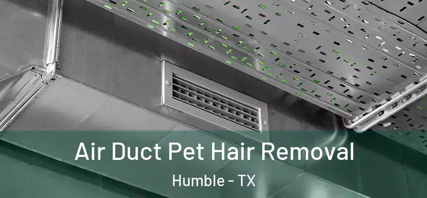 Air Duct Pet Hair Removal Humble - TX