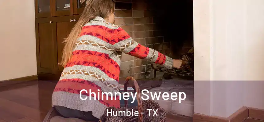 Chimney Sweep Humble - TX