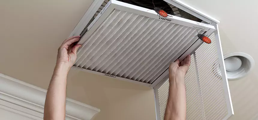 Preventive Cockroach-Proofing for Ducts in Humble