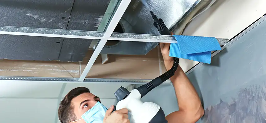 Our Air Duct Rodent Removal Services in Humble, TX