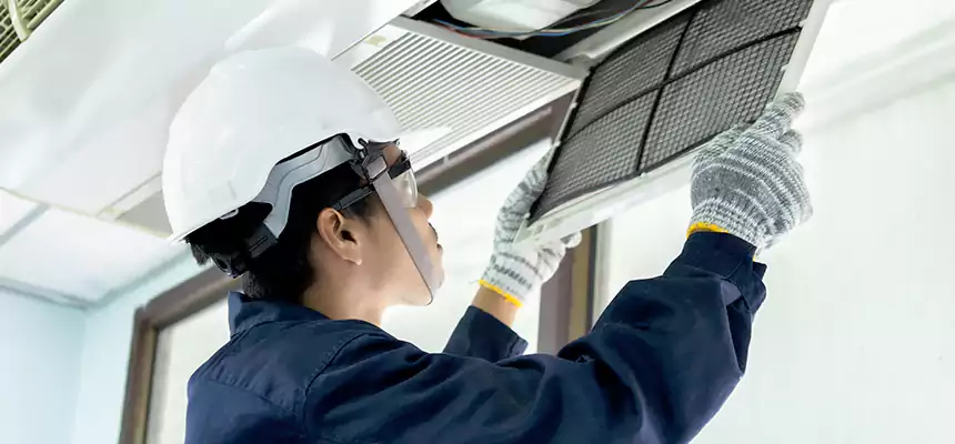 Our Mold & Mildew Removal from Air Ducts Services in Humble, TX