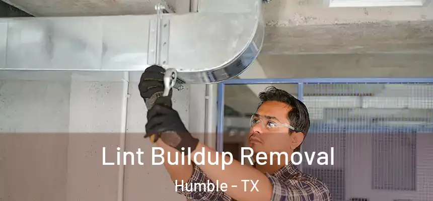  Lint Buildup Removal Humble - TX