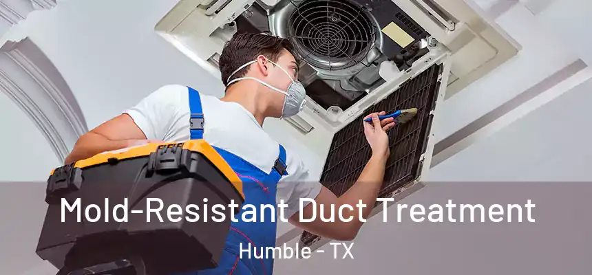  Mold-Resistant Duct Treatment Humble - TX