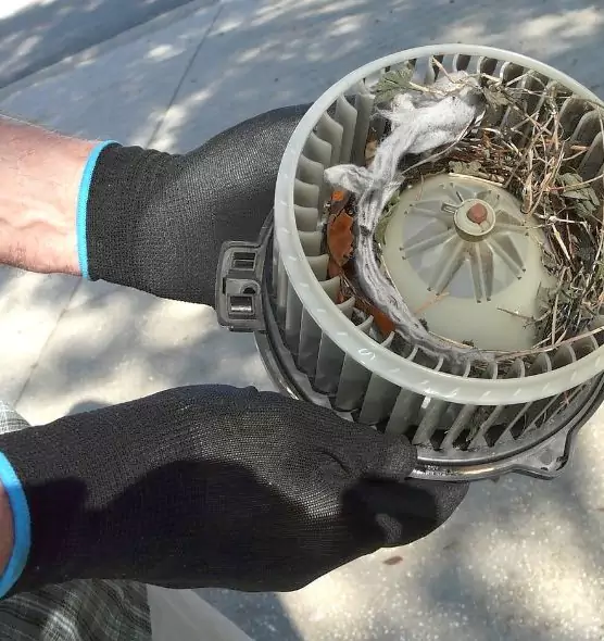 About Air Duct Mice Removal in Humble, TX