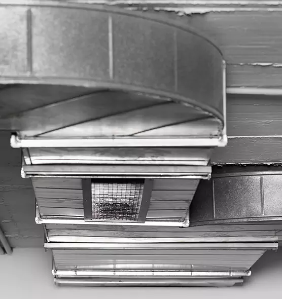 Professional Air Duct Pest Removal in Humble, TX