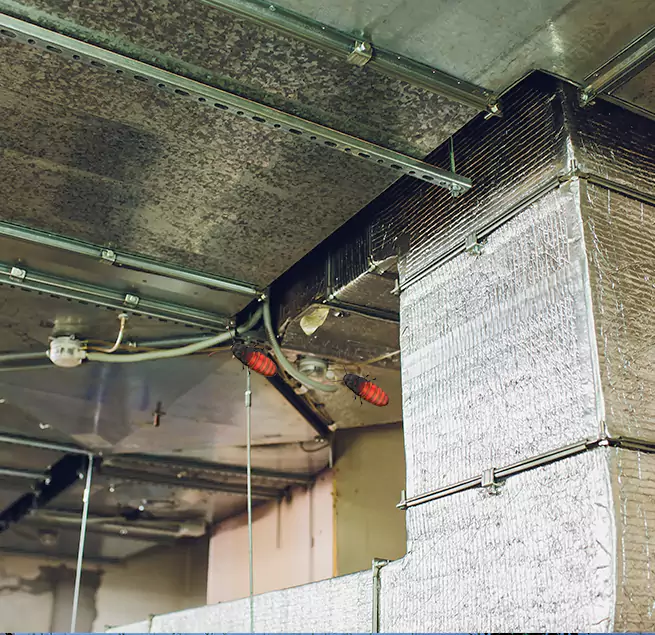 Why Homeowners & Businesses Trust Us in Humble, TX?