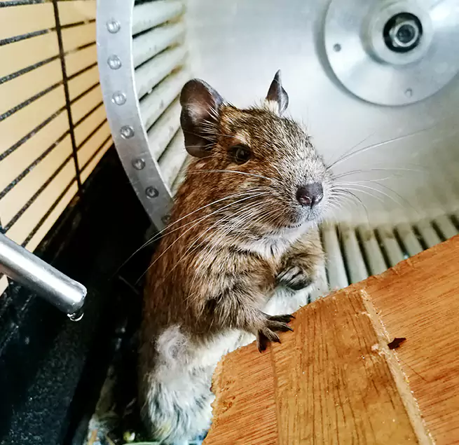 Why Homeowners & Businesses Trust Us Humble, TX?