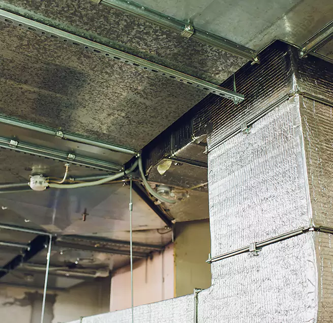 Why Homeowners & Businesses Trust Us in Humble, TX?